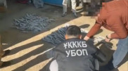 Граждан Сирии и Казахстана задержали в Шымкенте и Туркестанской области