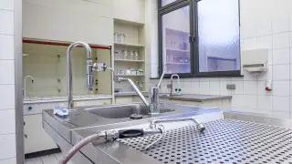 Вопиющий случай в морге Алматы: стали известны новые подробности