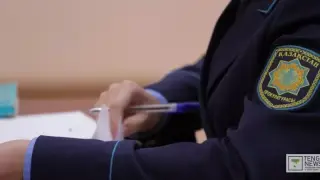 Ветлаборатории в области Жетысу выдали 8 тысяч фиктивных экспертиз