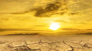 Лето 2023 года назвали самым жарким за последние два тысячелетия