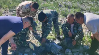 Баянауылда қарақұрт қаптап кетті