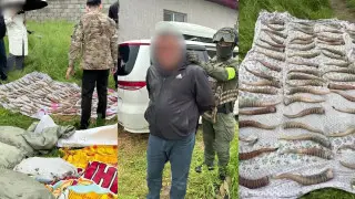 Спецоперацию провели полицейские под Алматы