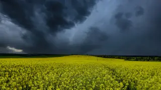 Снег, туман и заморозки: погода в Казахстане на сегодня, 28 мая