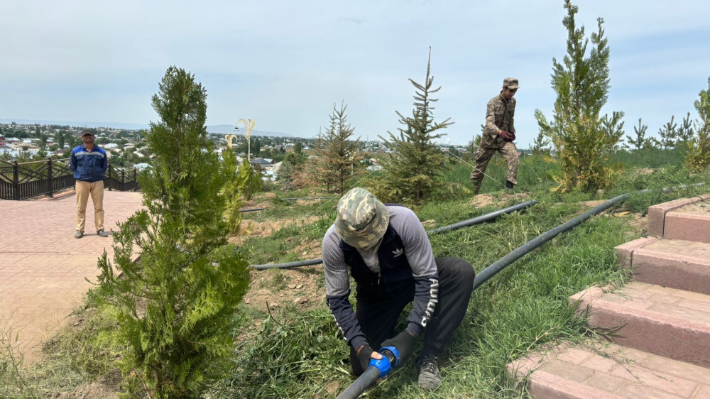 Фото: УВП Жамбылской области