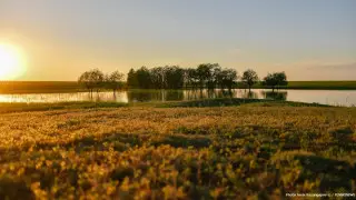 Снова заморозки? Погода в Казахстане удивит контрастами
