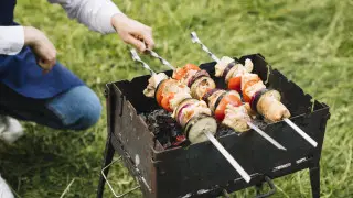 Шашлык на природе обошелся алматинцам в 1,4 миллиона