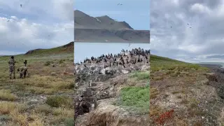 Три острова на озере Алаколь запретили посещать туристам