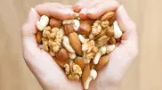 Что будет, если есть орехи каждый день