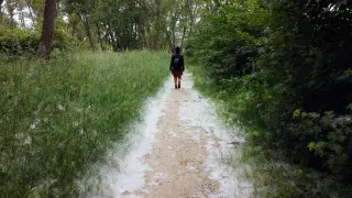 Чем опасен тополиный пух