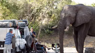 Страны Южной Африки объявили о планах ввести единую визу