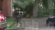 Профессионального скейтбордиста расстреляли перед домом в Москве