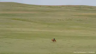 Земли на 45 миллионов тенге вернули государству