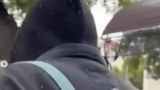 "Это какой-то кошмар": нашествие мошек объяснили в акимате ЗКО