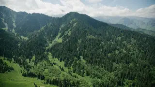 Высокий уровень пожарной опасности объявлен в горах Алматы