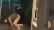 В сети появилось провокационное видео с "Тайсоном Фьюри" в баре
