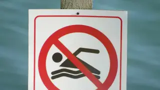 Опасных паразитов обнаружили в озере центрального парка Караганды