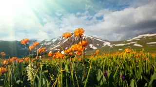 Грозы, град и жара: погода в Казахстане на сегодня, 12 июня