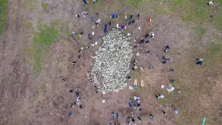 Акорда привела данные по акции "Таза Қазақстан"