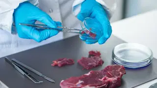 Ели пиццу, колбасу и пельмени: появились подробности смертельного отравления в СКО