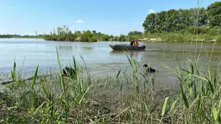 Унесло течением на доске: вторые сутки ищут мальчика в Петропавловске