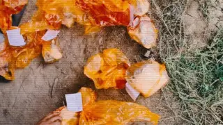 МВД провело спецоперацию в четырех регионах Казахстана