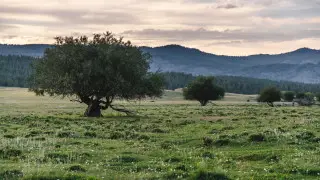 Спад аномальной жары в Казахстане предсказали синоптики