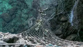 Токаев ратифицировал соглашение по рыболовным субсидиям в рамках ВТО