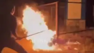 Один бил, другой поджигал: живодеры сожгли заживо собаку в Атырауской области