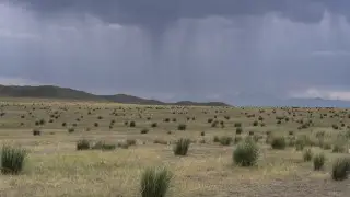 Погода в воскресенье: штормовые предупреждения объявлены почти по всему Казахстану
