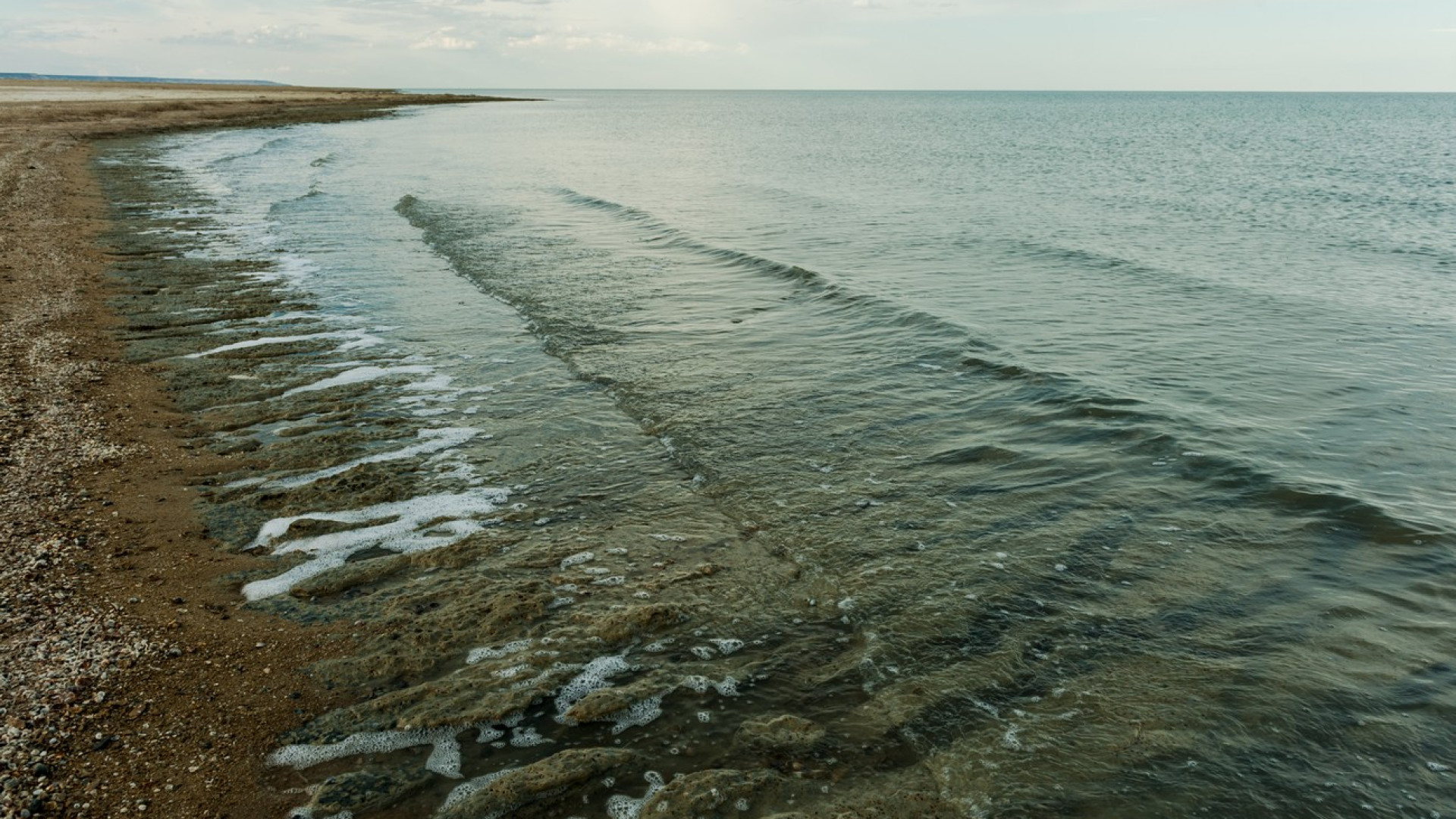 Объем воды увеличился в Аральском море: 24 июня 2024 10:10 - новости на  Tengrinews.kz