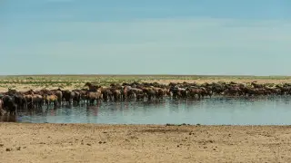 38-градусная жара, шквал и грозы: погода в Казахстана на сегодня, 25 июня