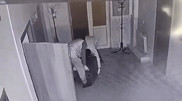 План на миллионы: воры унесли сейф с "мелочью" и попали на видео