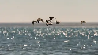 Сильная жара накрыла Казахстан: погода на сегодня, 26 июня