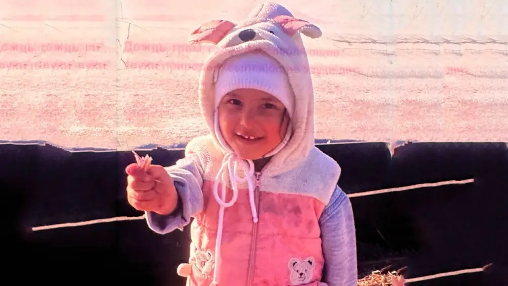 Исчезновение 3-летней девочки под Алматы: как продвигаются поиски