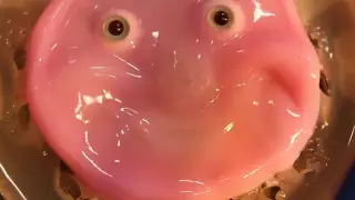 Инженеры создали лицо робота из живых клеток человеческой кожи