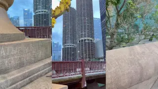 Казахстанские вандалы "отметились" в Чикаго