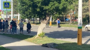 Водитель сбил женщину с 2-летним ребенком на пешеходе в Костанае