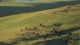 Земли олигополий на 50 миллиардов тенге вернули государству