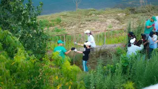 Масштабная уборка в рамках акции "Таза Қазақстан" прошла в области Абай