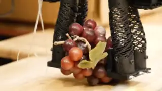 Инженеры создали "нежного" робота для деликатной работы