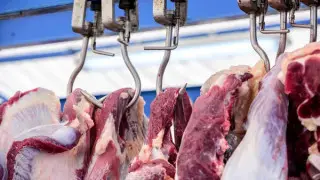 Казахстанцев напугали мясом зараженного скота из Кыргызстана