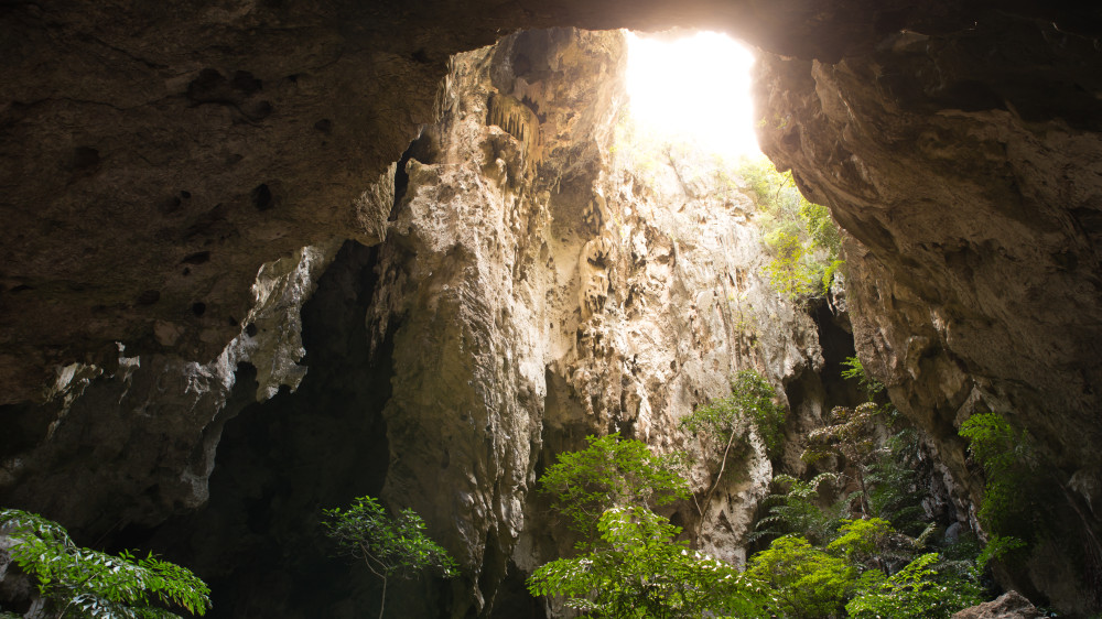 В индонезийской пещере нашли, возможно, древнейший рисунок в мире