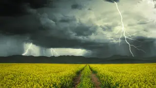 Дожди, грозы и жара: Синоптики предупредили о погоде 7 июля