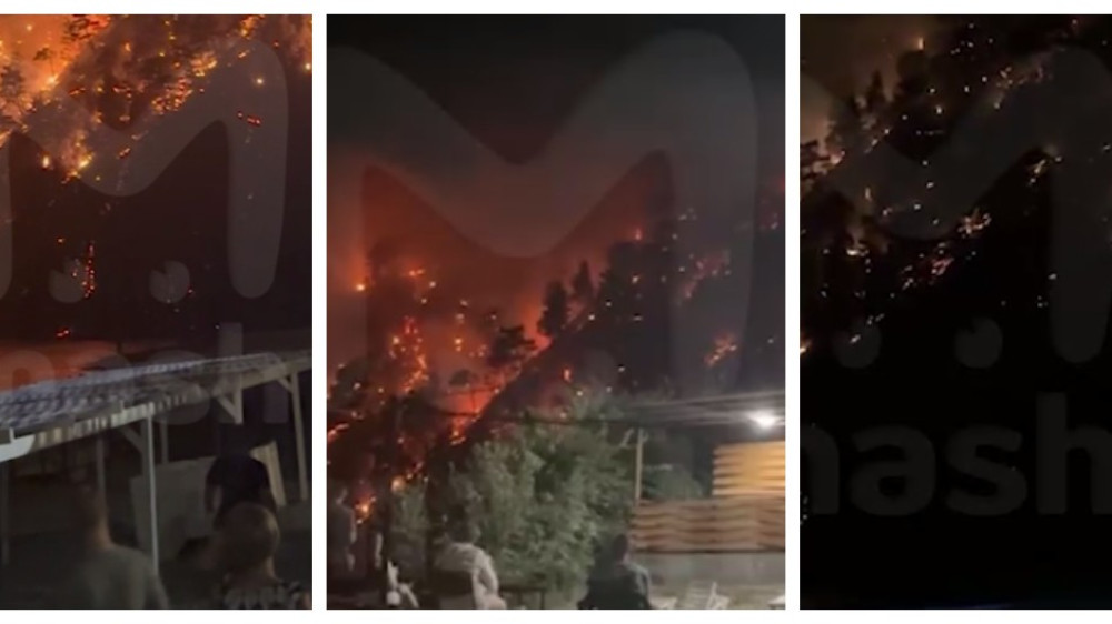 Туристы спровоцировали лесной пожар в России