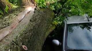 На автомойку упало дерево, повредив авто. Кто будет возмещать ущерб