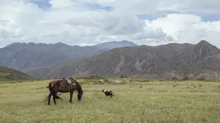 Прохлада придет в Казахстан