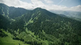 Как новый закон отразится на работе нацпарков