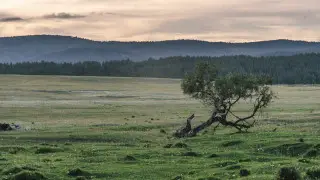 Сильные дожди зальют Казахстан