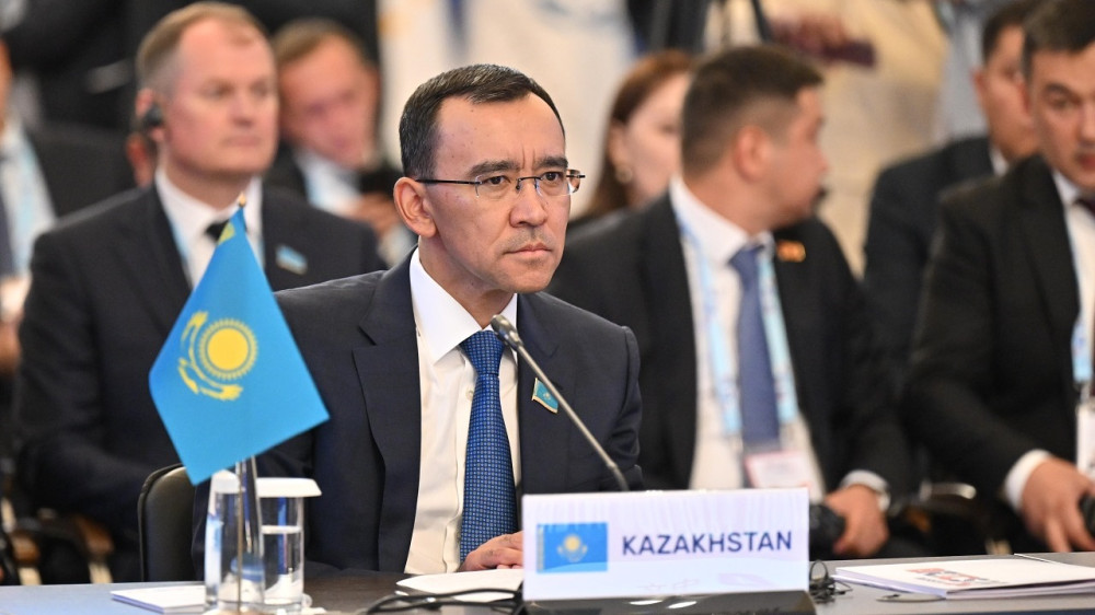 Модельный закон о семейно-бытовом насилии для СНГ разработает Казахстан