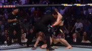 UFC расшифровал слова Хабиба, сказанные после победы над Макгрегором